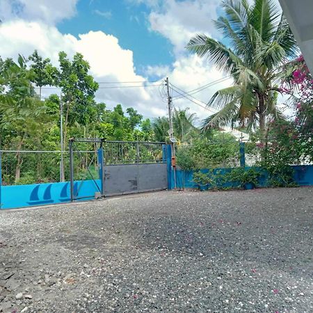 Happy Bear Villa Moalboal Ngoại thất bức ảnh