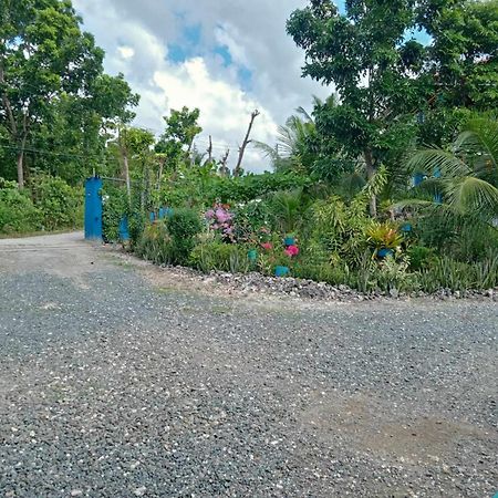 Happy Bear Villa Moalboal Ngoại thất bức ảnh