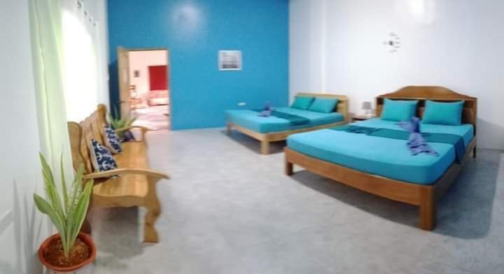 Happy Bear Villa Moalboal Ngoại thất bức ảnh