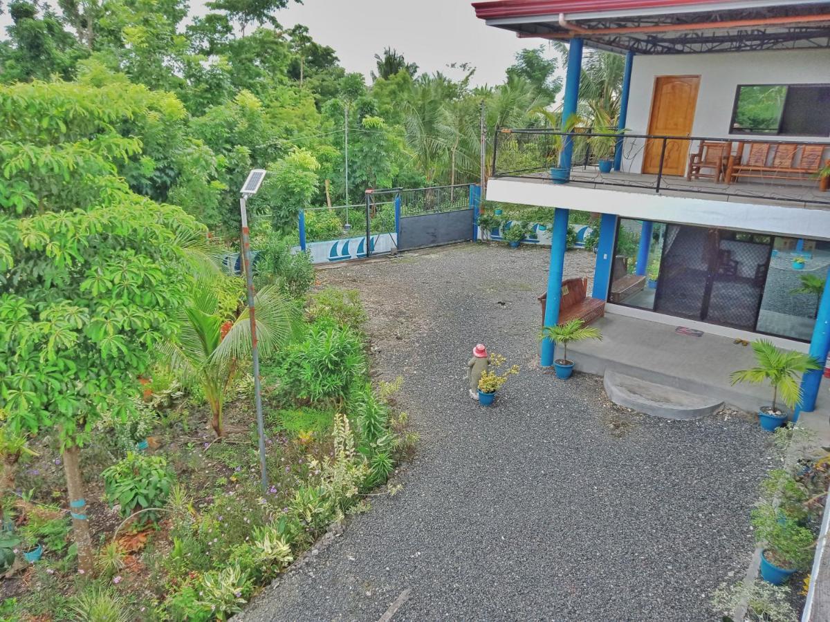 Happy Bear Villa Moalboal Ngoại thất bức ảnh